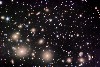 Abell 426