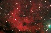 IC1318