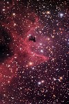 IC1848