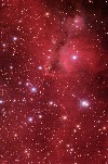 IC1848