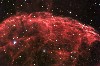 IC443