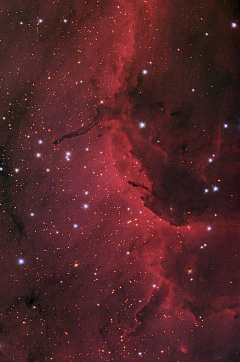 IC5070 - PELICAN NEBULA