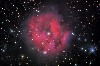 IC5146