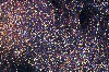 Sagittarius Star Cloud