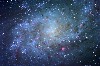 M33