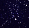 M41