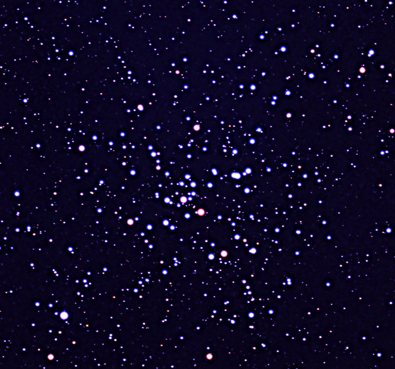 M41