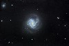 M61