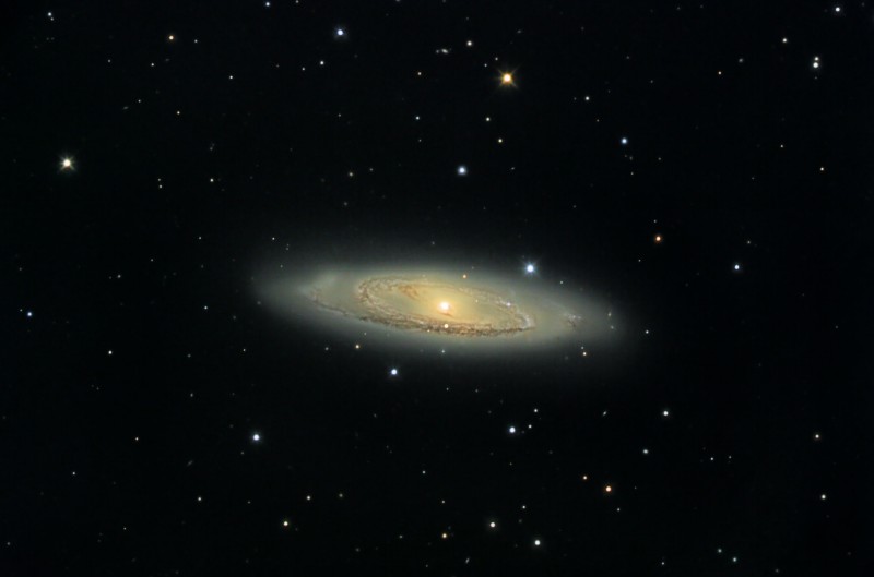 M65