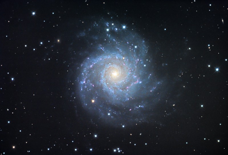 M74