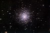 M79