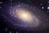 M81