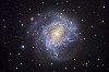 M83