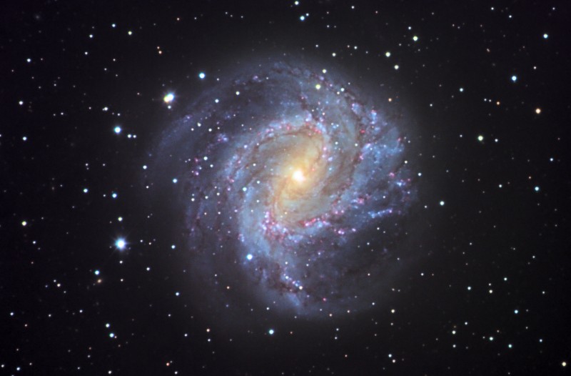 M83