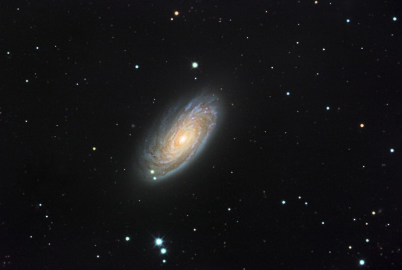 M88
