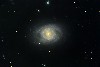 M95