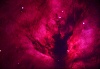 NGC2024