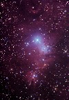 NGC2264