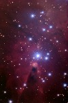 NGC2264