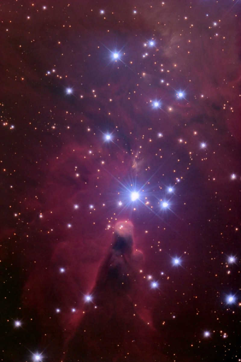 NGC2264 (CONE NEBULA)