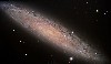 NGC253