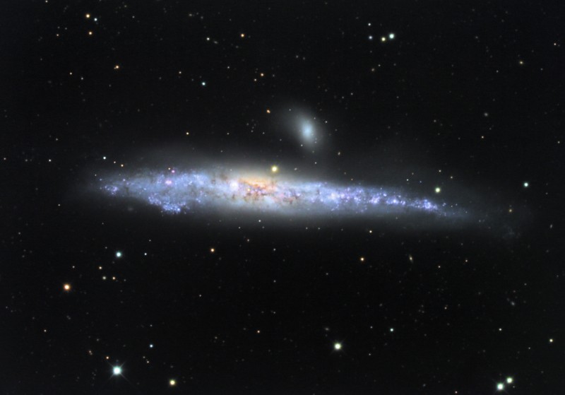 NGC4631