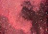 NGC7000