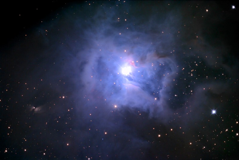 NGC7023 (IRIS NEBULA)