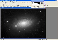 Luminance DDP